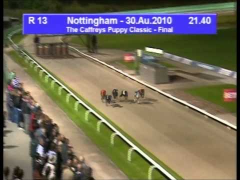 2010 Droopys Oscar Puppy Classic FINAL Nottingham