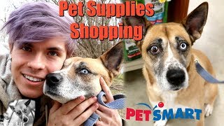 PET SUPPLIES SHOPPING WITH NOVA by Tyler Rugge