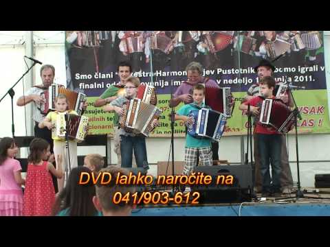 Koncert glasbene šole Pustotnik v Dolskem 17.6.2011 (orkester harmonikarjev Pustotnik)
