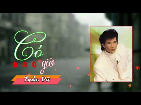 Có bao giờ - Tuấn Vũ
