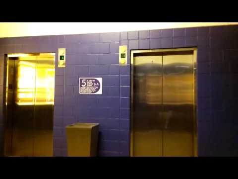 Going up Las Vegas elevator