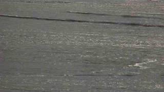 Manuel Sanchez Carabel, Galicia 2009 (Octubre)