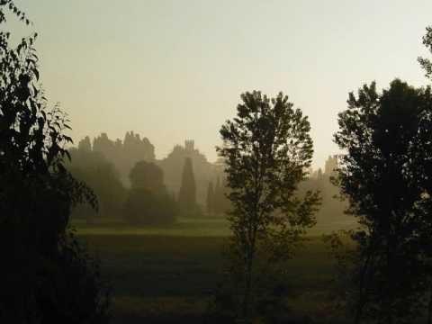 John McDermott - Home From The Forest