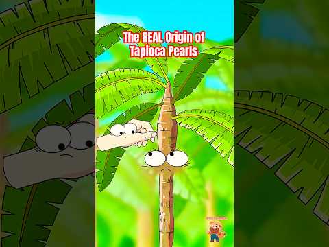 The REAL Origin of Tapioca Pearls Isn't What You Think 🤯 #tapiocapearls #animation