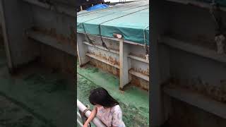 Download lagu NASIB MU OH PELAUT.SIJIL CADET TAPI JABATAN DI KAPAL KOKI mp3