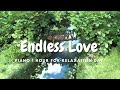 Endless Love 1 Hour