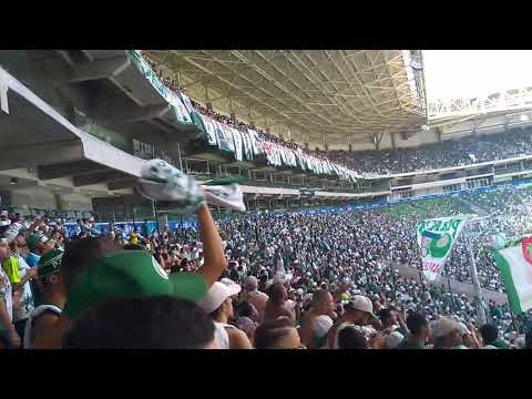 Eu sou da Mancha o seu Terror (Treino Aberto Allianz Parque)