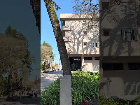 A Matriz de Carlos Barbosa vista de perto 🙏🏼✨#igreja #riograndedosul #carlosbarbosa