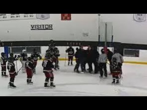 Ontario U13 Hockey Coaches Brawl: What Really Happened?