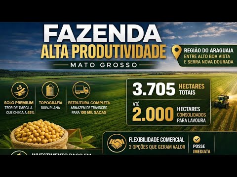 Fazenda Alta Produtividade à Venda no MT | 3.705 ha | Região de Alto Boa Vista (Araguaia)