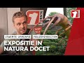 'Big Insects' in Natura Docet!