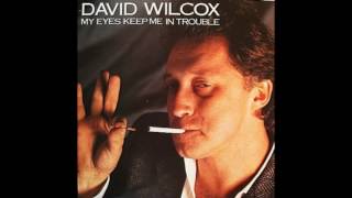 David Wilcox - Too Cool