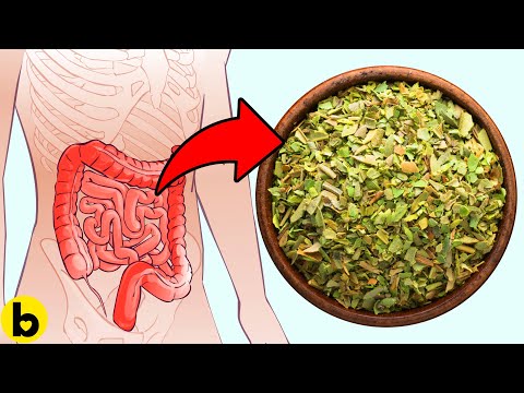 Here's Why You Need To Eat More Oregano
