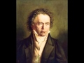 Beethoven - Piano Sonata in A major Op.2 No.2 - II, Largo appassionato