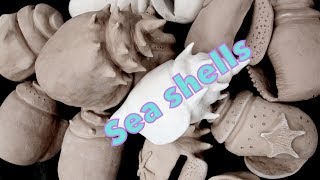 DIY Pinch Pot Sea Shell Sculpture | Step-by-Step Double Pinch Pot Tutorial for All Skill Levels
