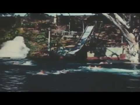 Capo Blanco - A Promise Love (Music Video)