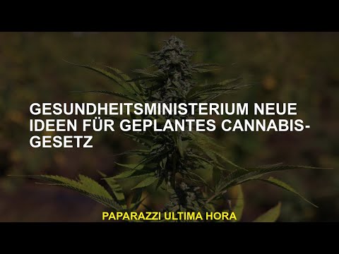 Gesundheitsministerium Neue Ideen für geplantes Cannabis-Gesetz