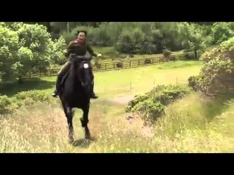 KQED Spark - Ballet Afsaneh