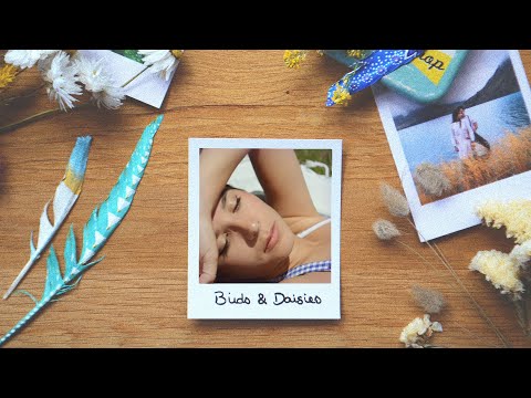 Racoon Racoon - Birds and Daisies (Official Video)