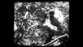 Angry Johnny And The Killbillies-Maybe I&#39;ll Sleep