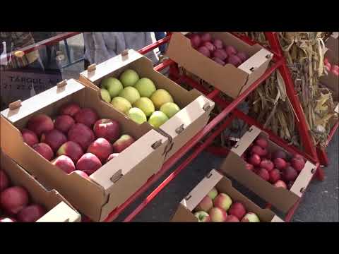 20231021 - Targul marului Falticeni