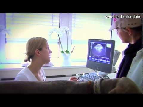 Winselt Prostatabehandlung Vitaprost Kerzen Cues