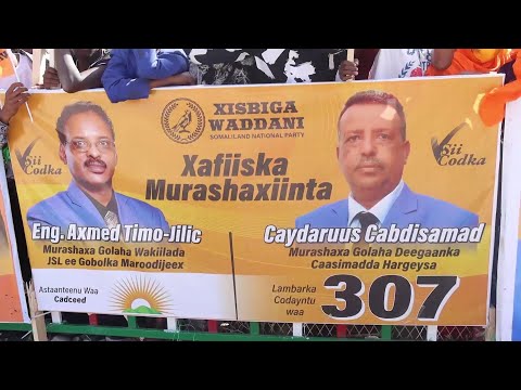 Taagearayaasha Musharax Axmed Timo Jilic Oo Wacadaro Dhigay