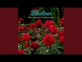 I Never Promised You A Rose Garden