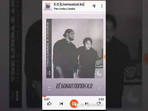The Limba x Andro X.O