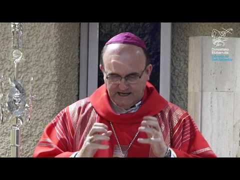 Homilia 2017-11-22 Mons  Munilla SANTA CECILIA