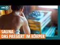 Sauna Deshalb Ist Das Schwitzen In Der Sauna So Gesund I ARD Gesund