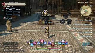 [FF14]フレ用