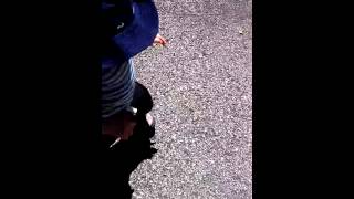 (untitled)