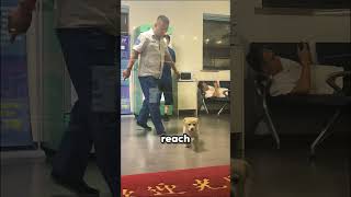 Download lagu Thirsty Puppy Tries to Buy a Drink but Gets Kicked Out πΆ π’π₯€π« mp3 Download lagu Thirsty Puppy Tries to Buy a Drink but Gets Kicked Out πΆ π’π₯€π« mp3