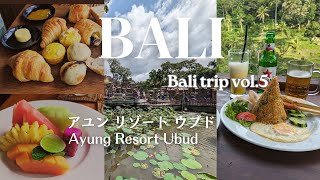 [Bali Travel] Bali Ayung Resort Ubud/Recommended hotels in Ubud/Enjoy rice terra