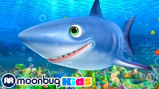 Moving Home Compilation | LBB Songs | Learn with Little Baby Bum ...