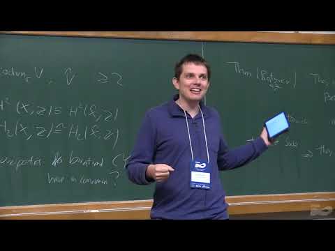 VIII Workshop on Conservative Dynamics and Symplectic Geometry - Birational Calabi-Yau manifolds...