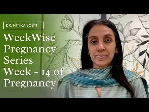 Week Wise Pregnancy Series : Week- 14 by Dr. Nitika Sobti