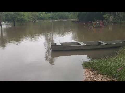 Vídeo: Enchente atinge Porto Amazonas após cheia do Rio Iguaçu 15/10/2023