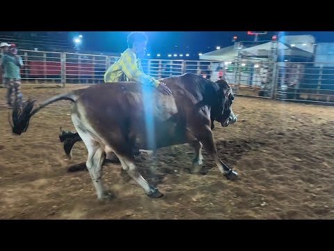 Tourada Antônio Botinhas/ carira-se - julho 2026