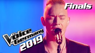 Adele - Someone Like You (Erwin Kintop) | The Voice of Germany 2019 | Finals