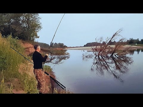 Фото Закинул ночью на ракушку, утром проснулся весь берег. Рыбалка на реке Ахтуба 2 часть.