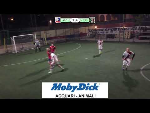 Serie C2: Ardea - Castromenio