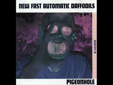 New Fast Automatic Daffodils - Get Better