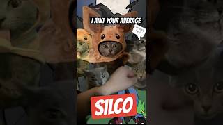 Silco ain’t your average cat. #pokemon #pokemontcg #pokemoncat #catvideos #cat #cutecat #pokemoncard