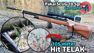 Download lagu 105 meter hit telak pakai uklik‼️ Niat berburu ayam hutan malah pecah rekor mp3 Download lagu 105 meter hit telak pakai uklik‼️ Niat berburu ayam hutan malah pecah rekor mp3