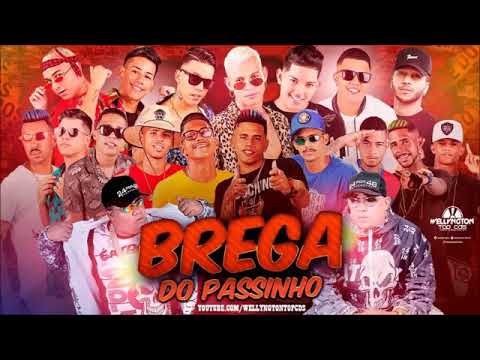 BREGA FUNK | Do Jeito Que Elas Gosta
