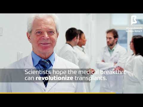 World's first 3D-printed heart with human tissue