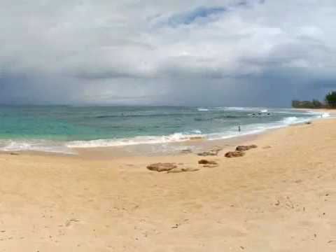 Rodovia Kamehameha 59-254 Haleiwa, HI 96712