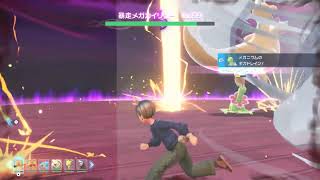 【途中終了】暴走メガカイリューにメガなしカイリューで勝ちたいカイリュー最推しマンの挑戦【ポケモンレジェンズZA】